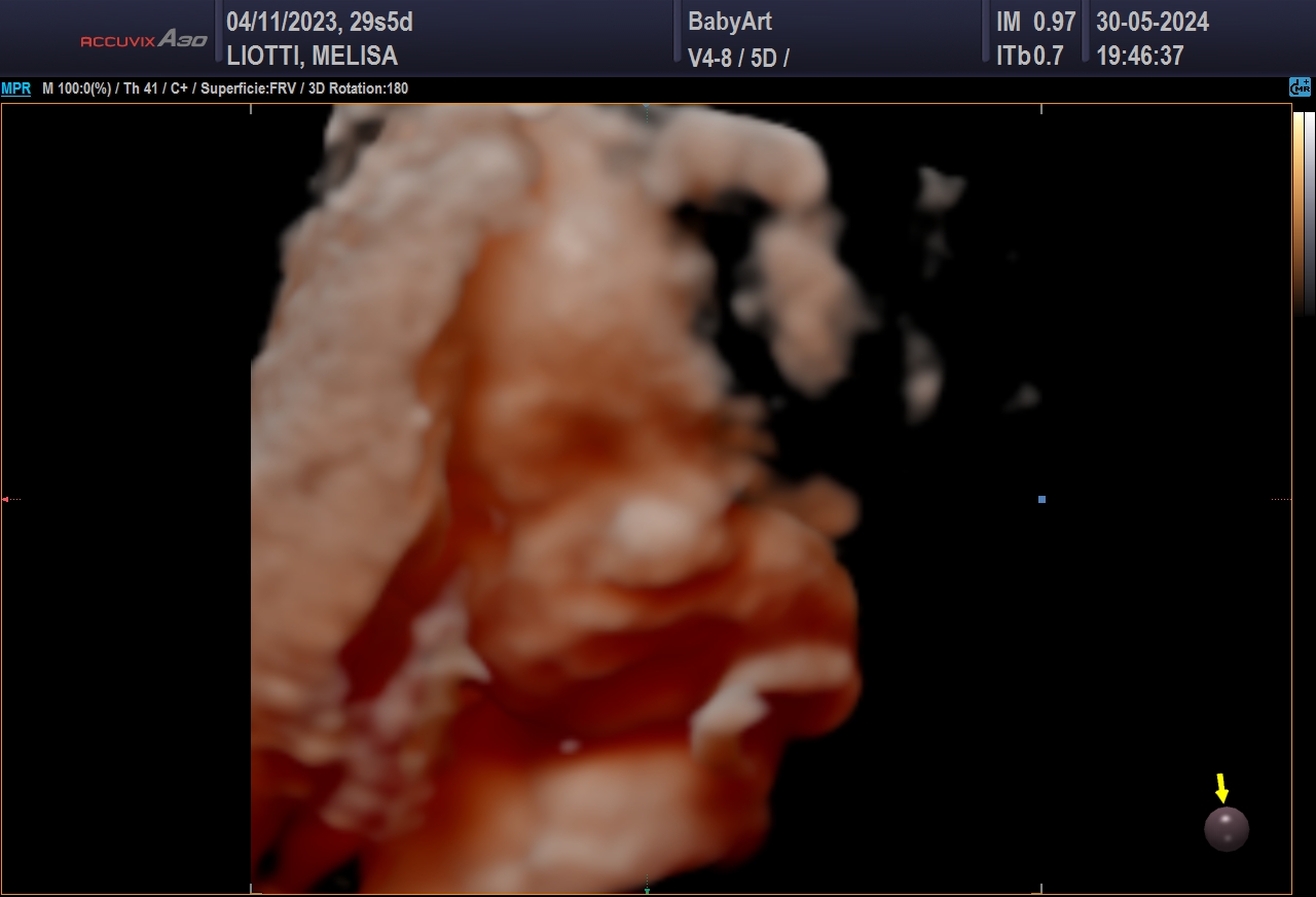 JULIA DE MELISA LIOTTI_0024.JPG